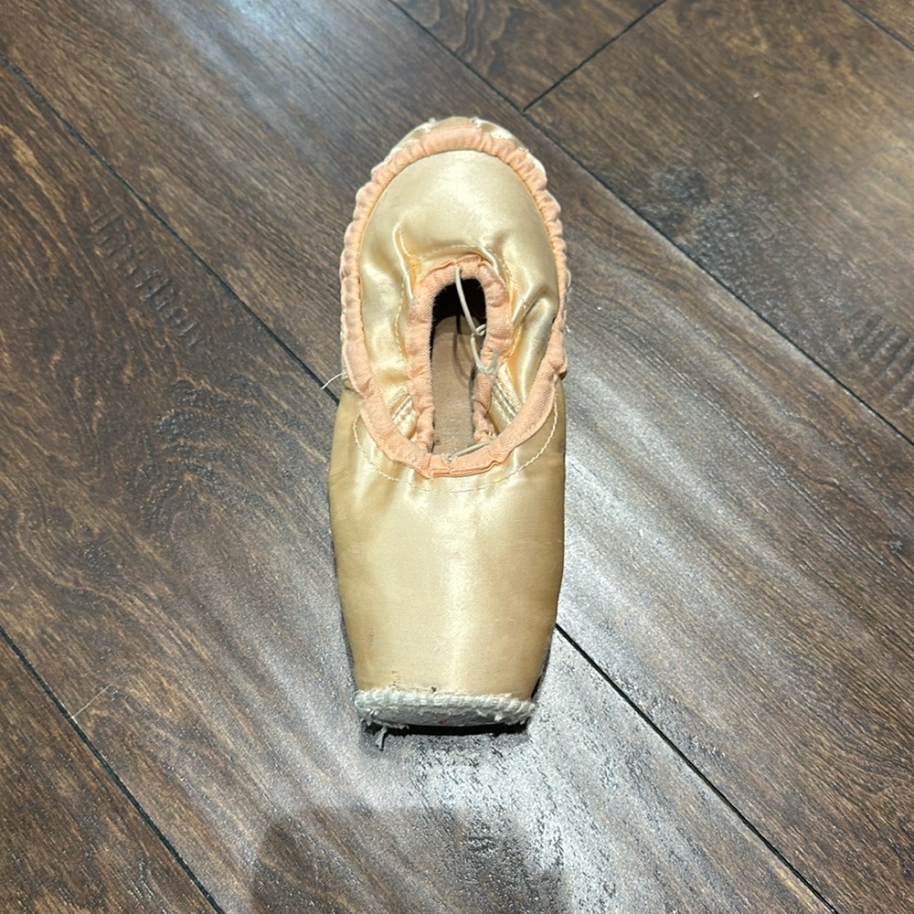 Used Pointe Shoes for Crafting (1 Pair)